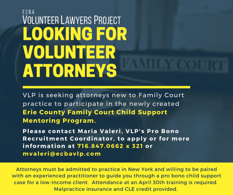 Family Court Mentor Program ECBA Volunteer Lawyers Project